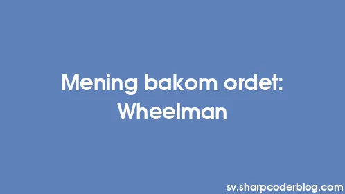 Mening bakom ordet: Wheelman - Thumbnail